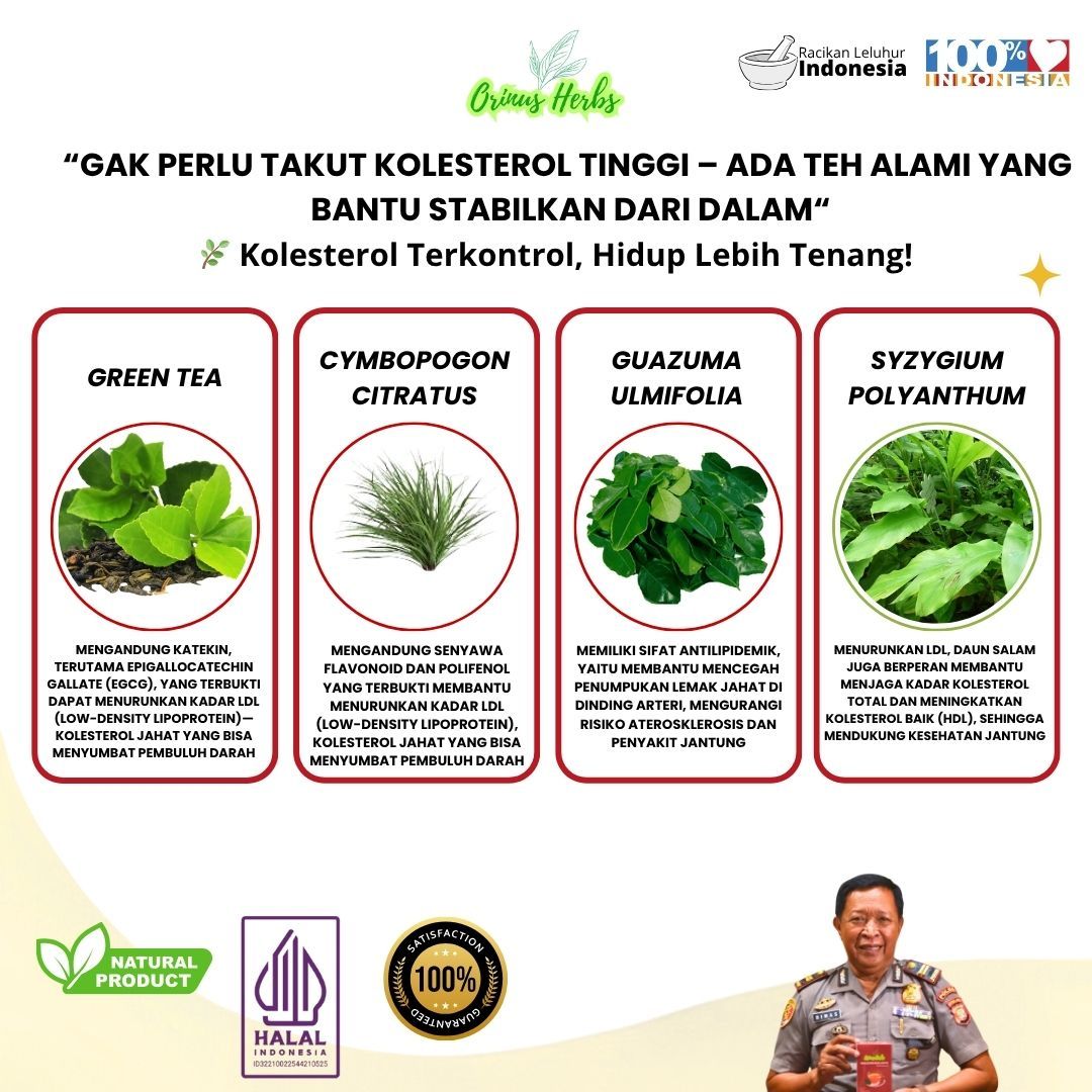 Teh Celup Herbal Orinus Herbs Lipioma 2