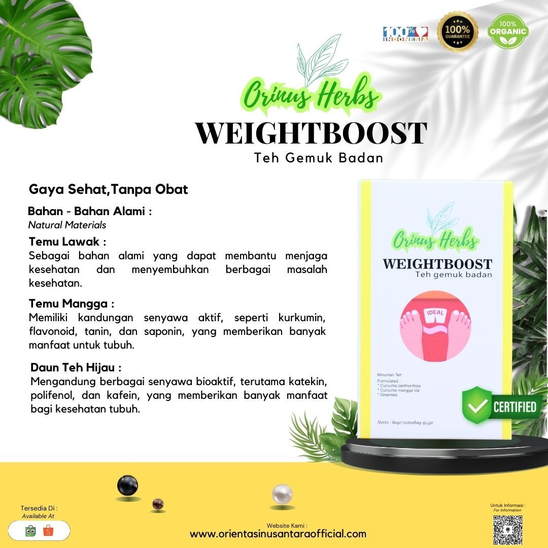 Weightboost Minuman Teh Herbal Gemuk Badan ORINUS HERBS 2