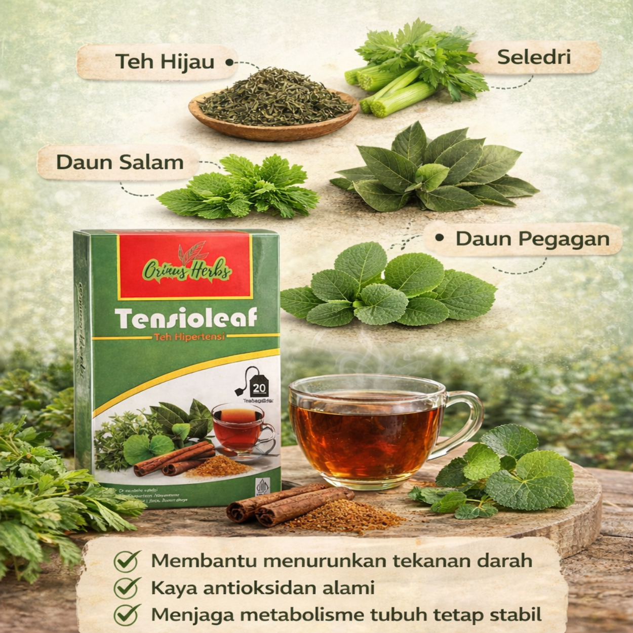ORINUS HERBS TENSIOLEAF – Teh Pendamping Hipertensi 2