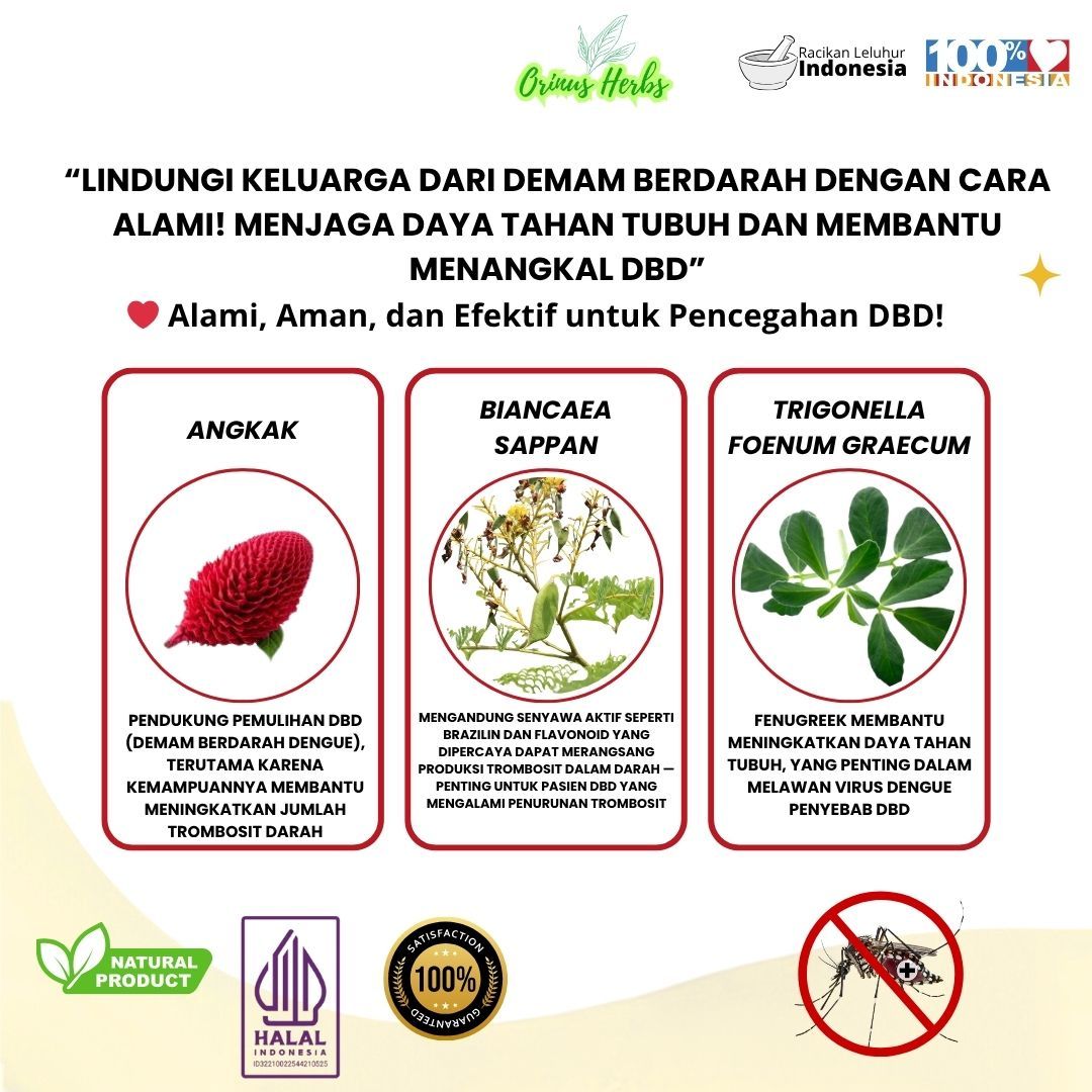 ORINUS HERBS Daratea 3