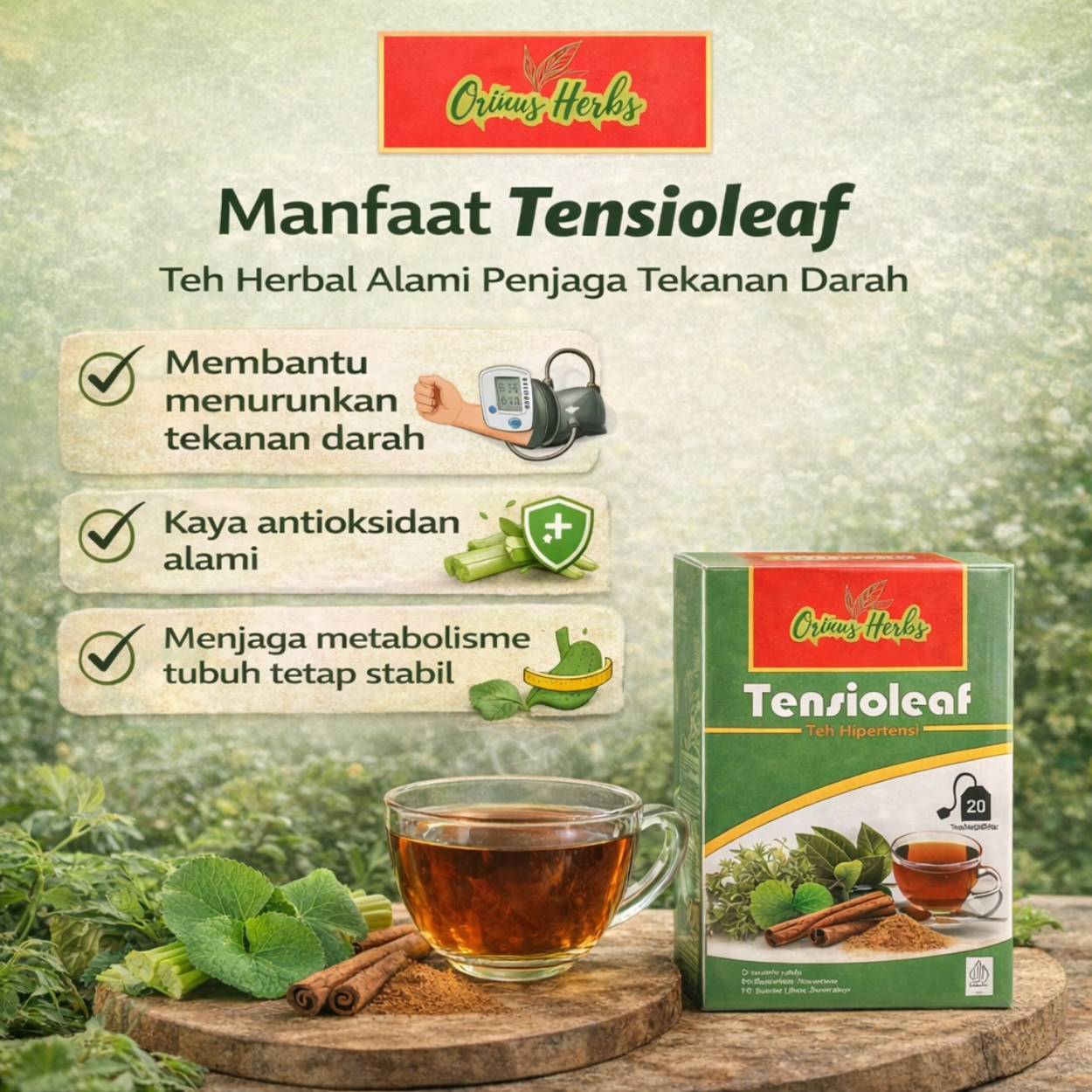 ORINUS HERBS TENSIOLEAF – Teh Pendamping Hipertensi 3
