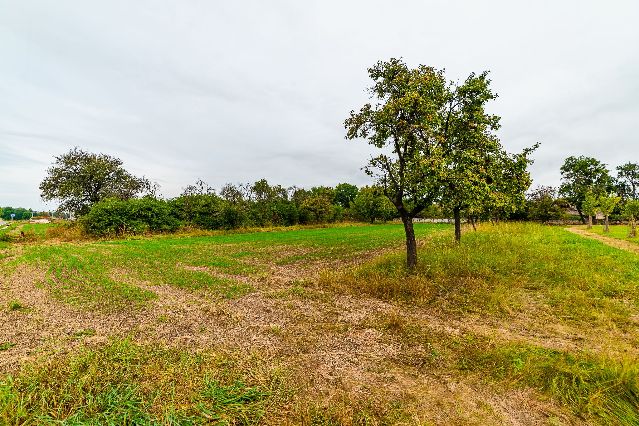 ZEMĚDĚLSKÁ USEDLOST, 675 52 Petrůvky - 19