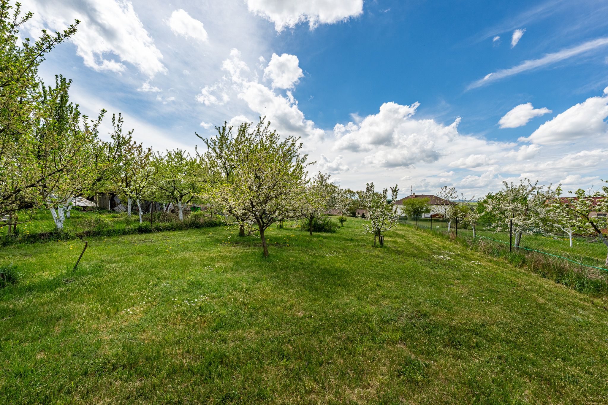 POZEMEK 1 094 m², 588 21 Nové Domky - 10