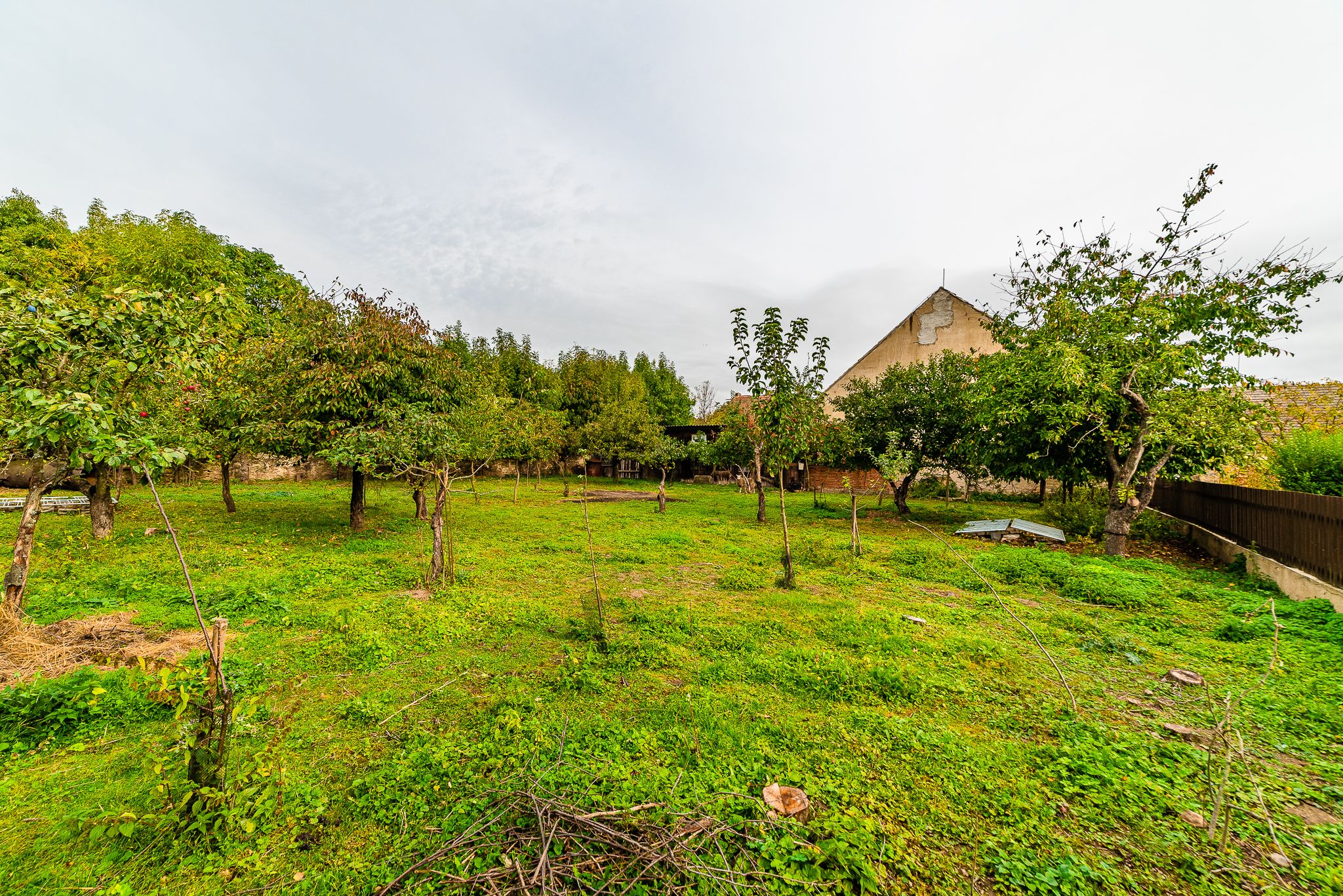 ZEMĚDĚLSKÁ USEDLOST, 675 52 Petrůvky - 18