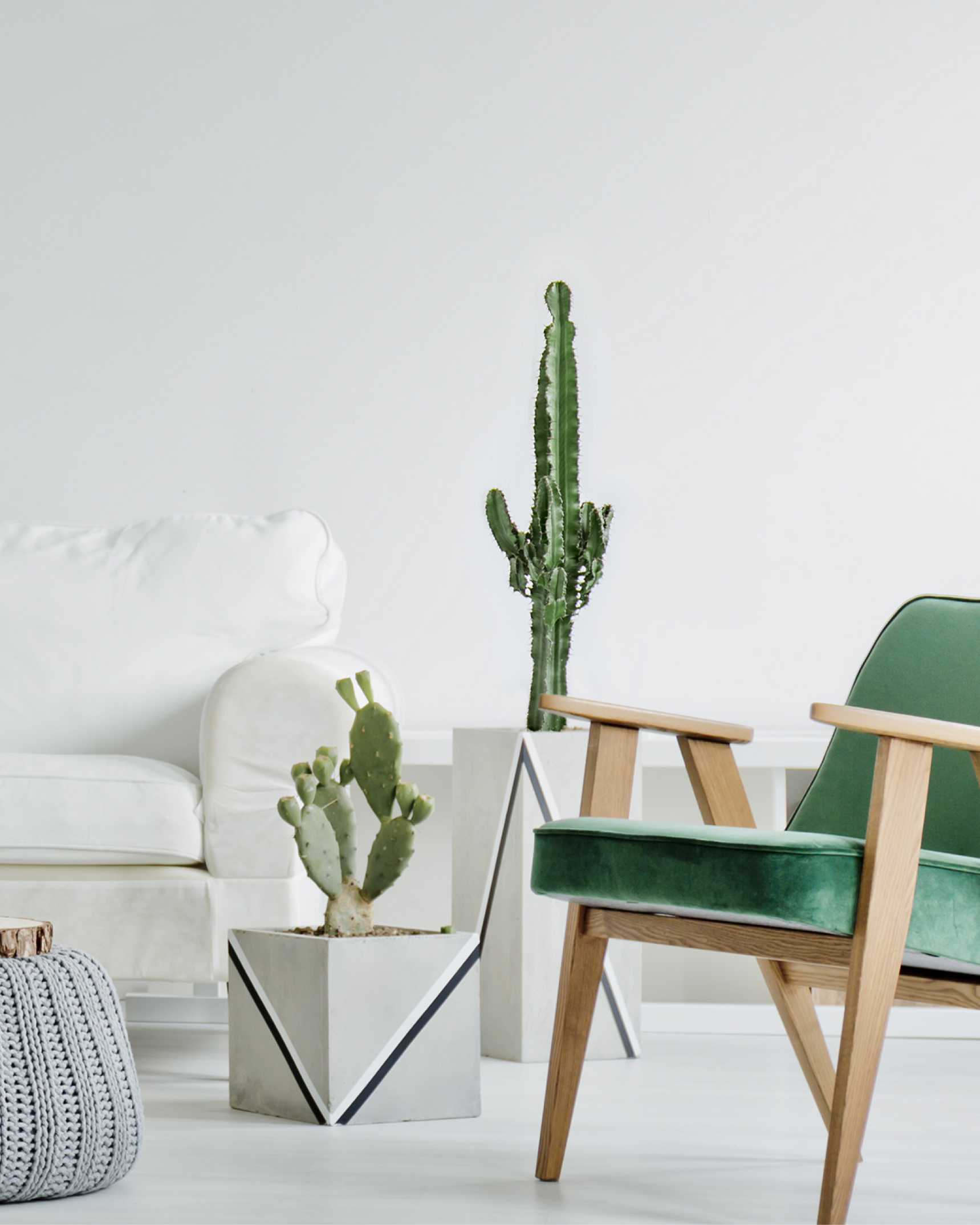 Modern sitting room with part of white sofa, two cacti and a green arm chair