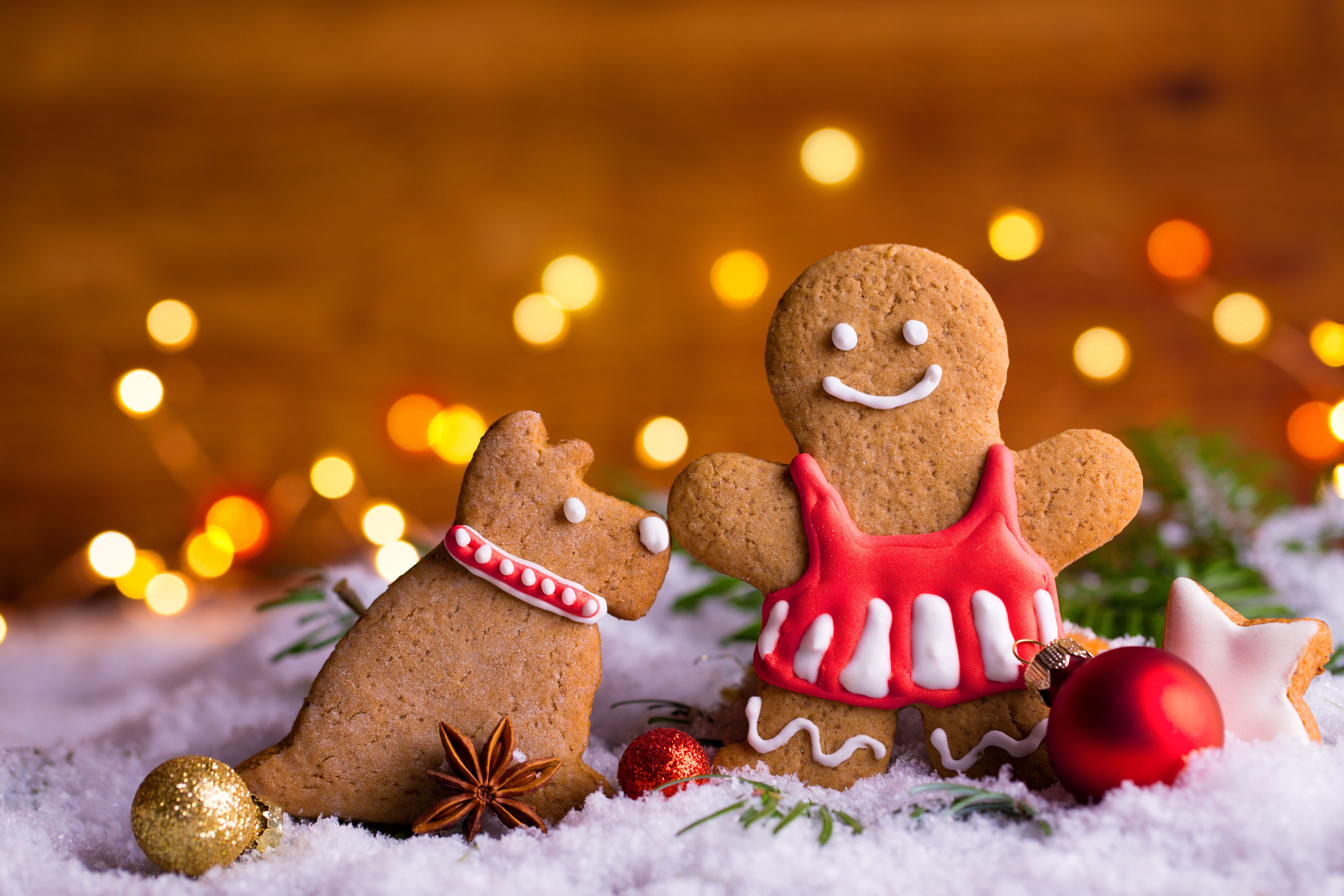 Cover Image for Bsisa Christmas Gingerbread