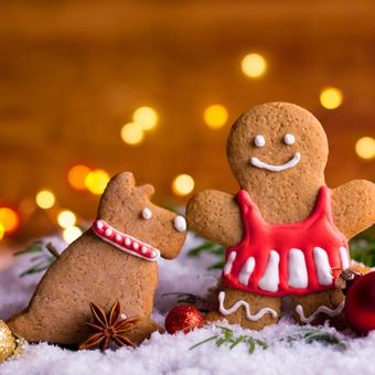 Cover Image for Bsisa Christmas Gingerbread