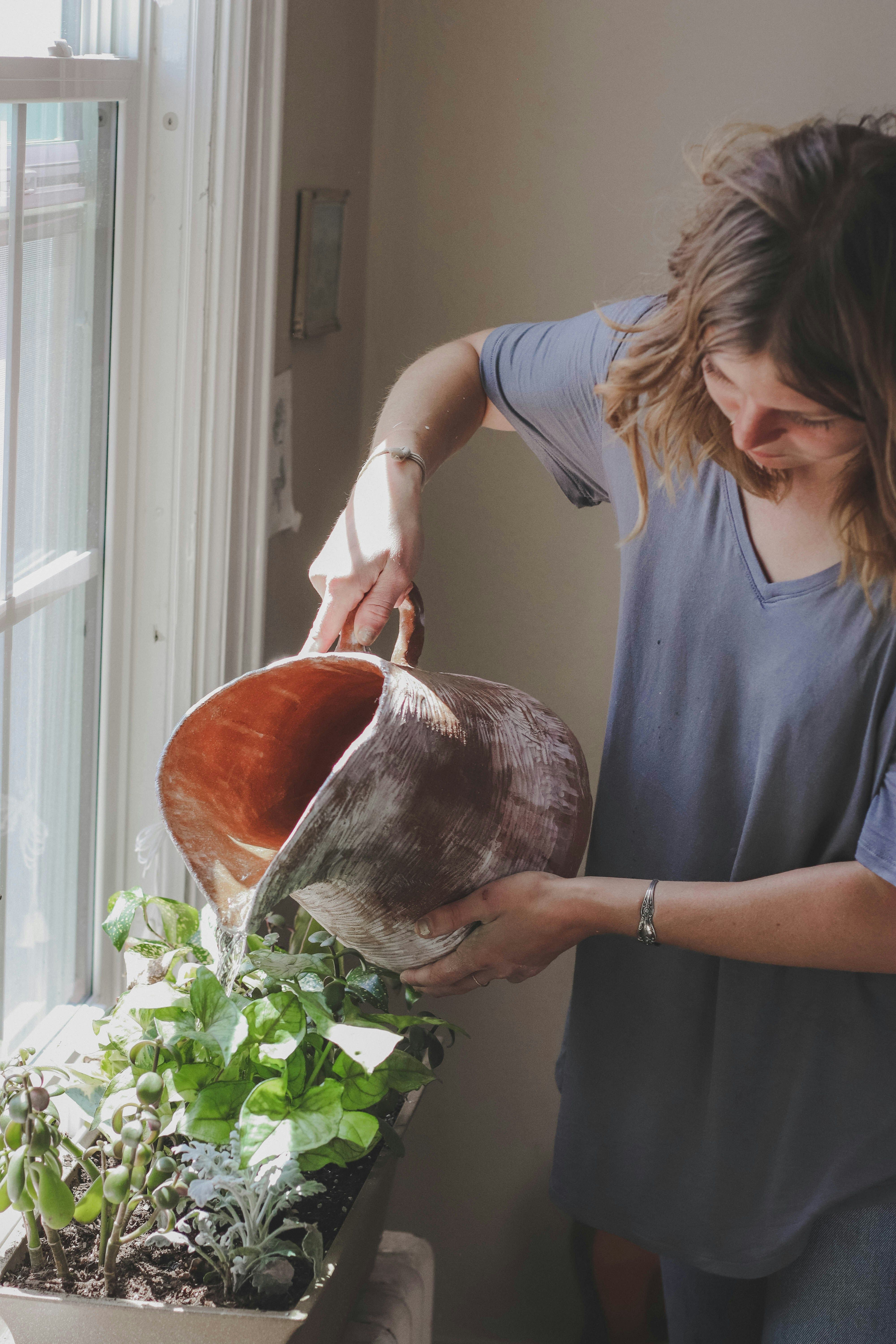 Master the Art of Indoor Herb Gardening: Fresh Herbs at Your Fingertips