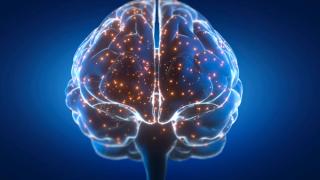 Illustration of a brain with neurons lighting up