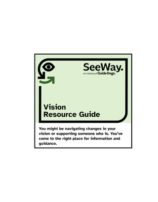 The front of the Vision Resource Guide, with a green heading and text below on a white background.