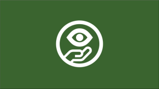 Graphic showing a hand supporting an eye.