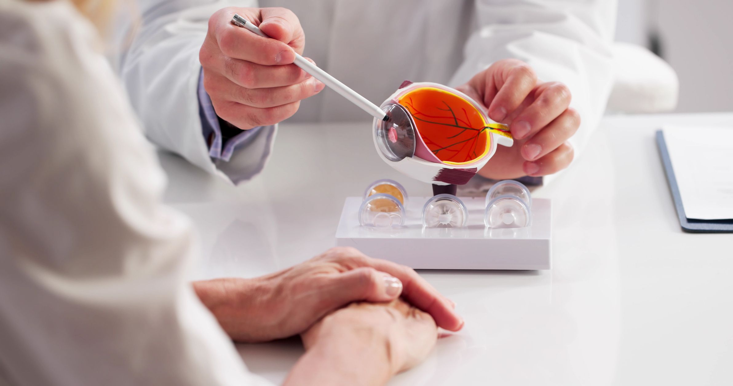 An eye care professional located the lens on a scientific model of an eye.