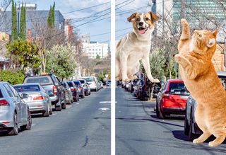An image of a street with an example of Charles Bonnet syndrome on the right which shows the street with hallucinations of large animals