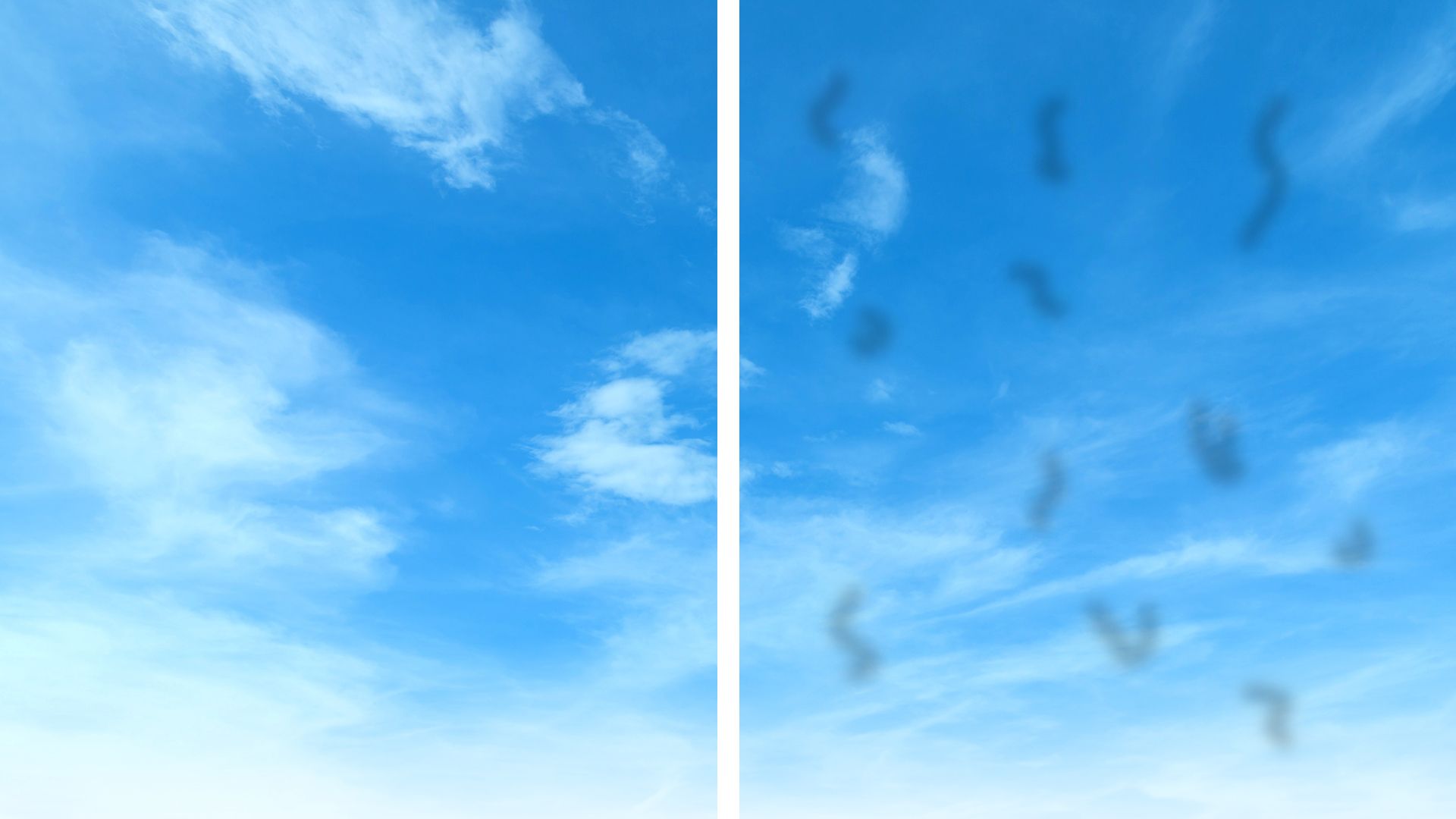 An image of the sky with the right hand side showing an example of floaters