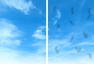 An image of the sky with the right hand side showing an example of floaters