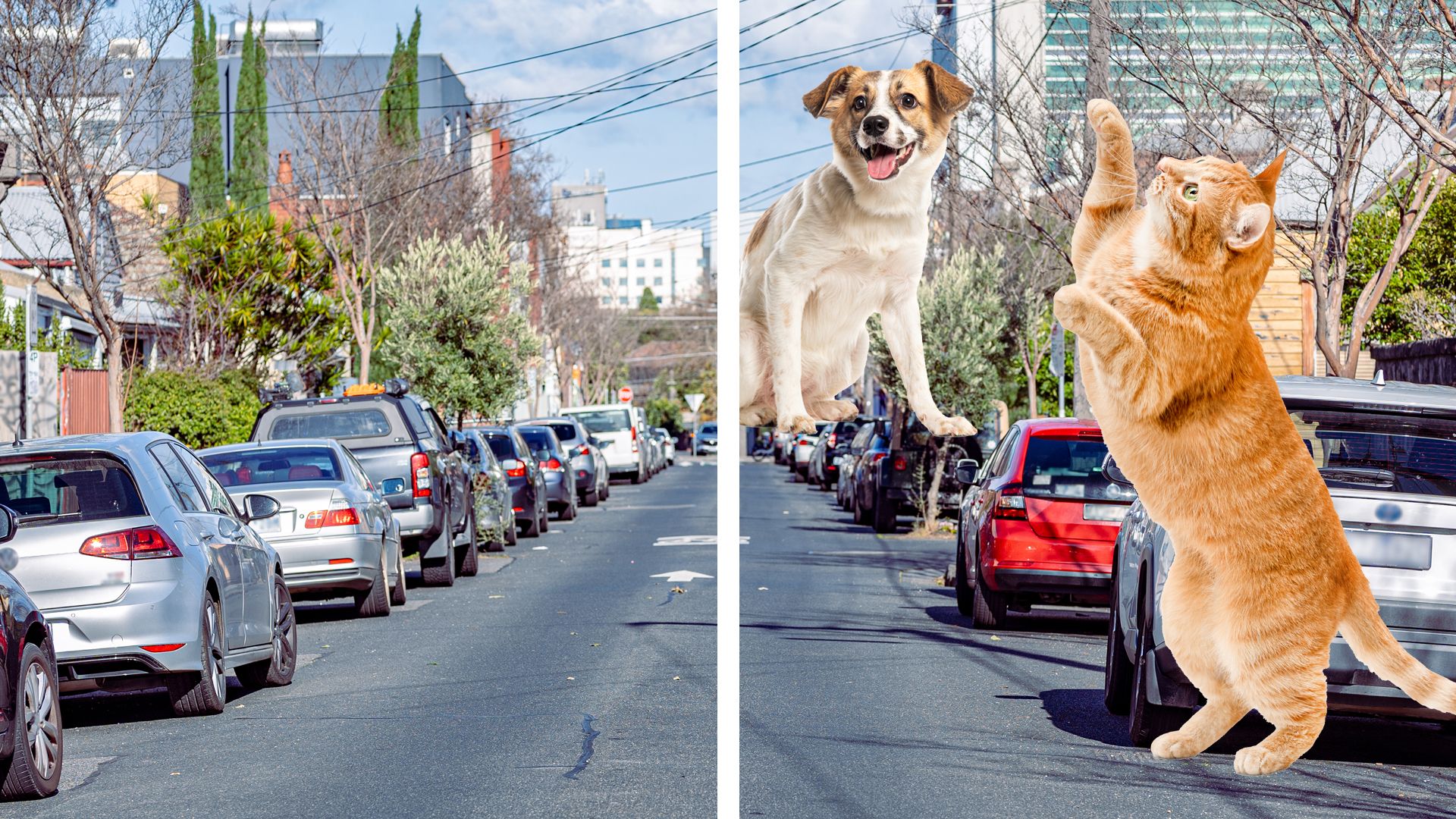 An image of a street with an example of Charles Bonnet syndrome on the right which shows the street with hallucinations of large animals
