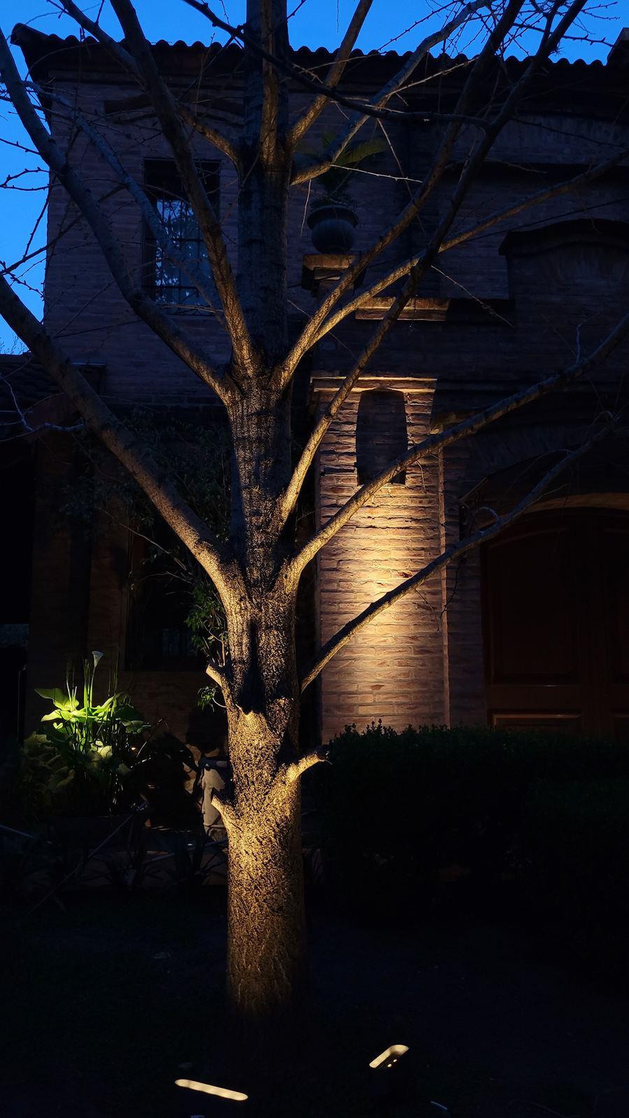 Árbol iluminado desde abajo junto a la casa