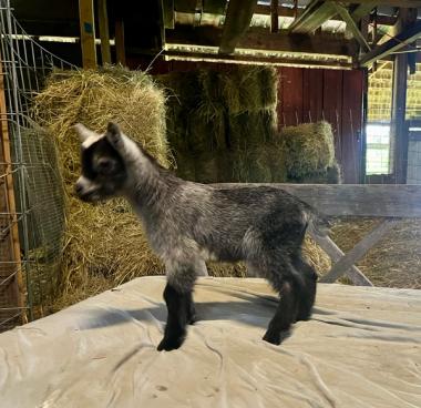 Val baby photo