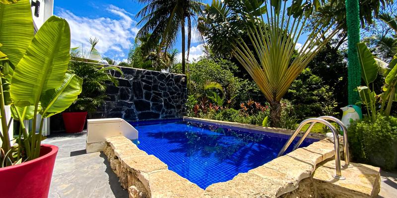 Casa Dragon image 15 of 41