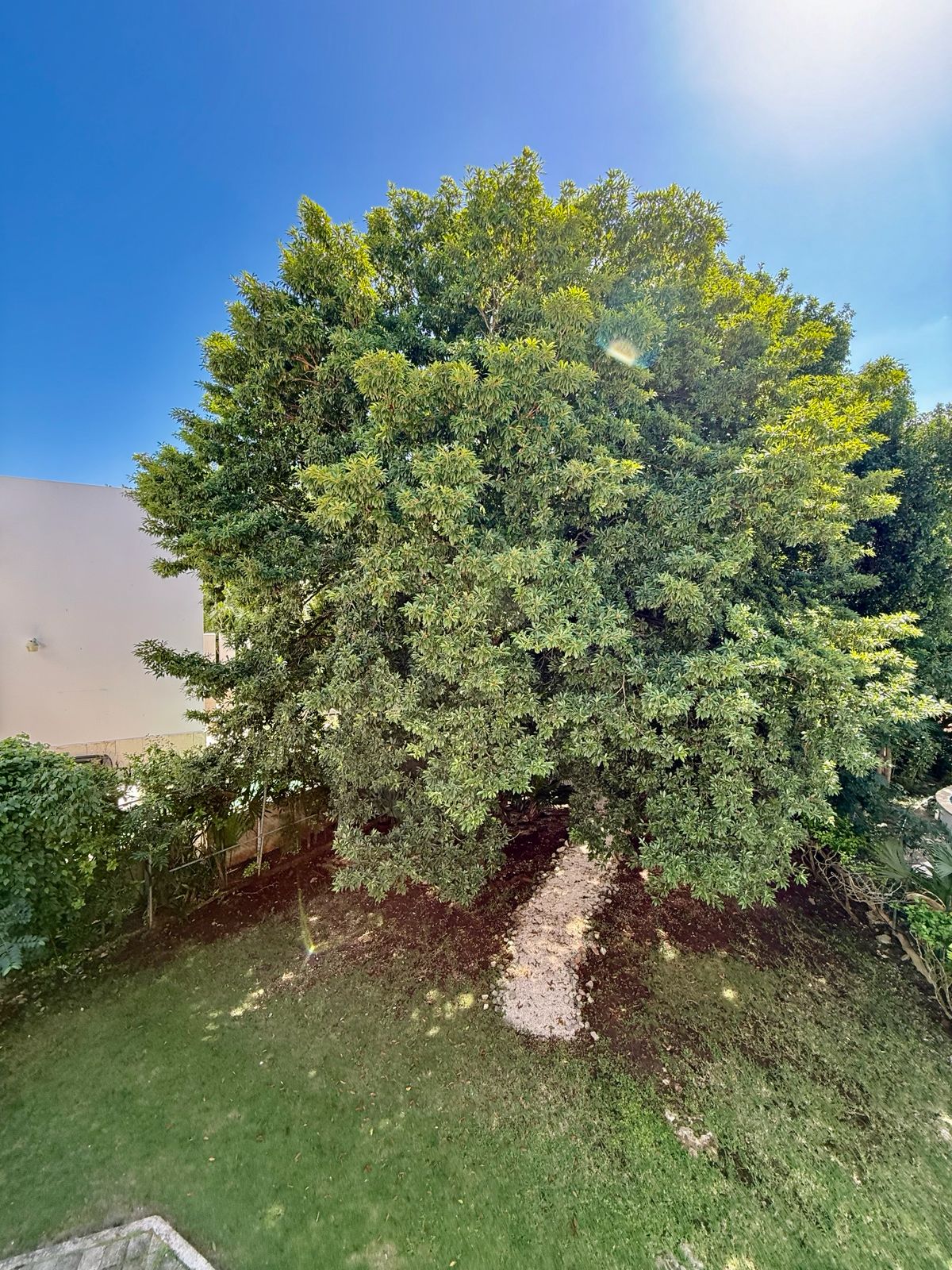 Hacienda Home Playacar image 20 of 35