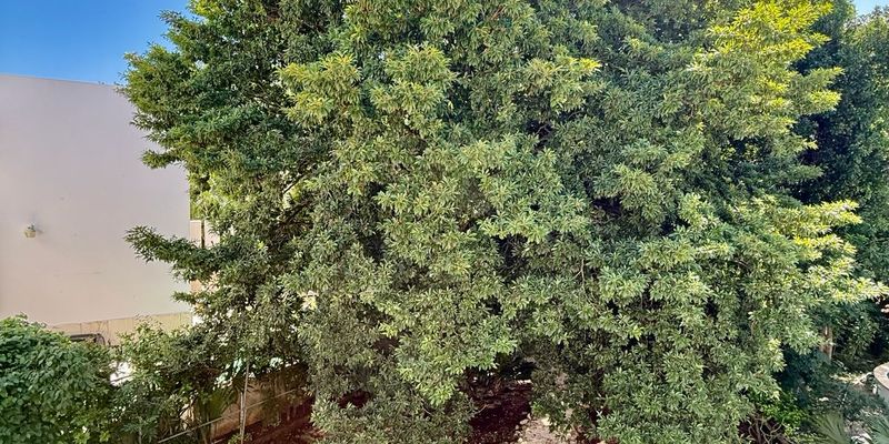 Hacienda Home Playacar image 20 of 35