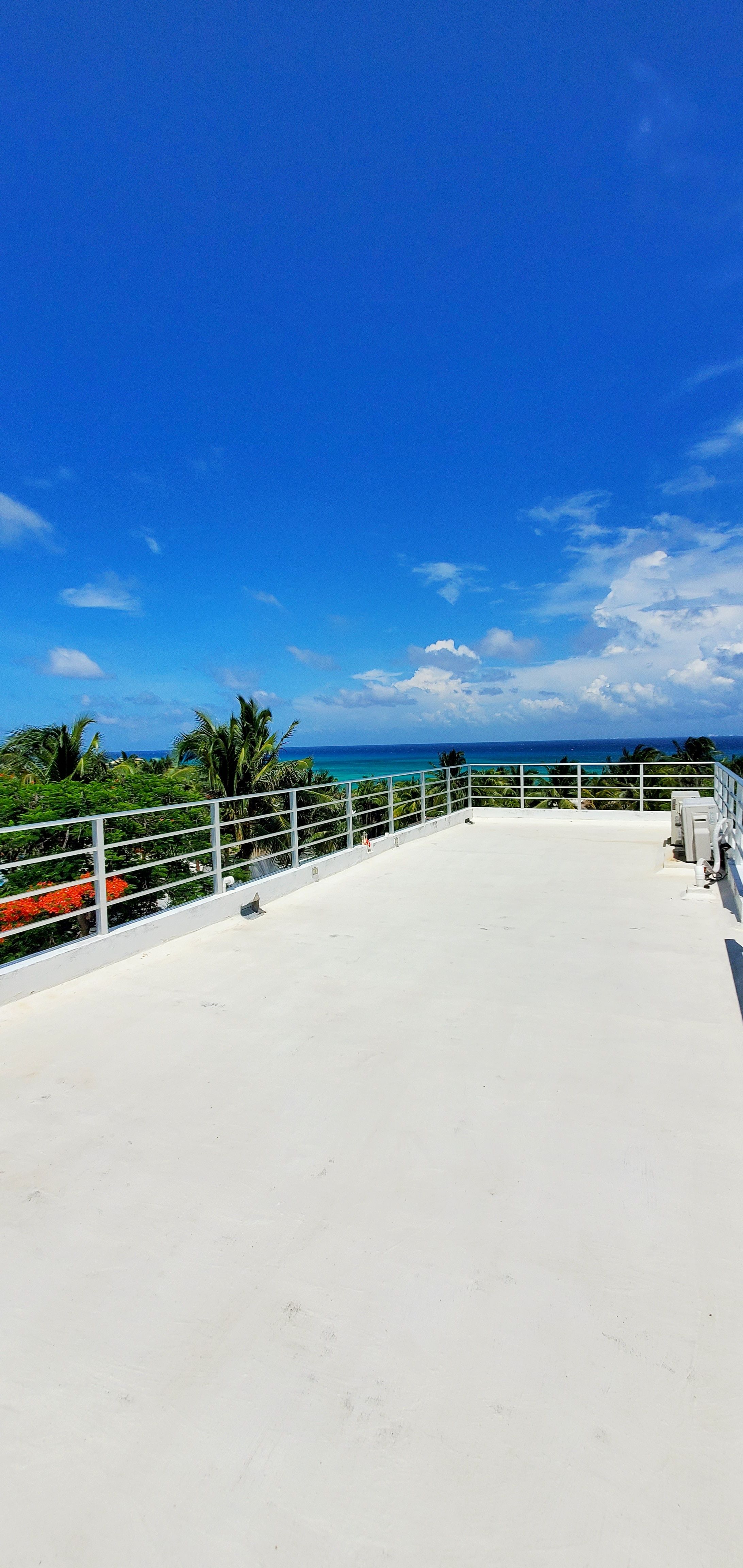 Villa Alma Steps to the Beach image 23 of 78