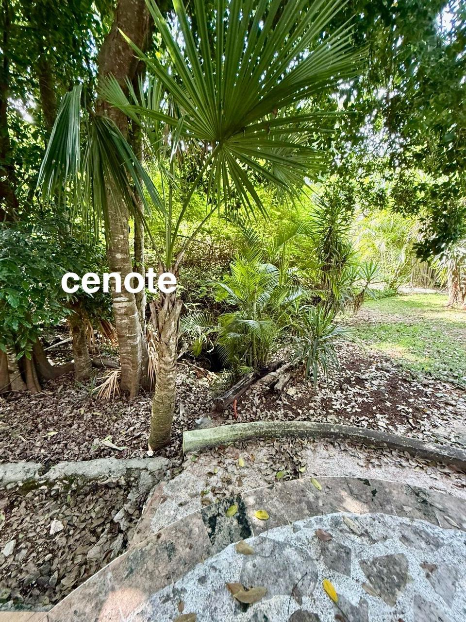 Elegant Villa in Playacar image 9 of 50