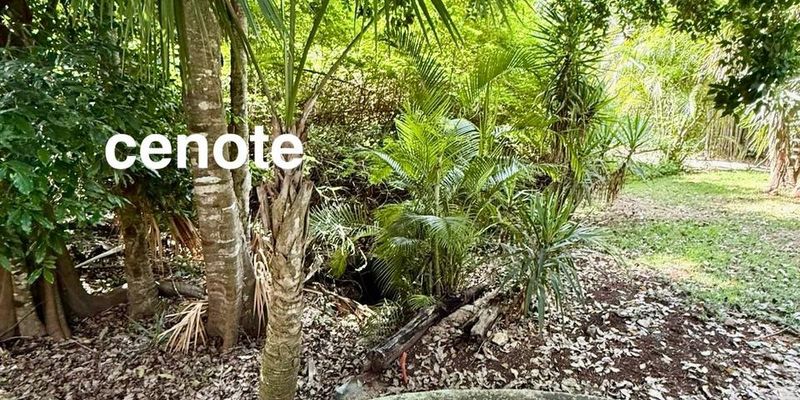 Elegant Villa in Playacar image 9 of 50