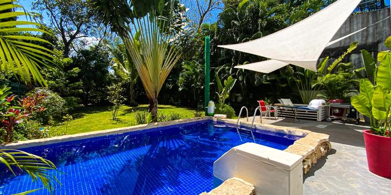 Casa Dragon image 1 of 41