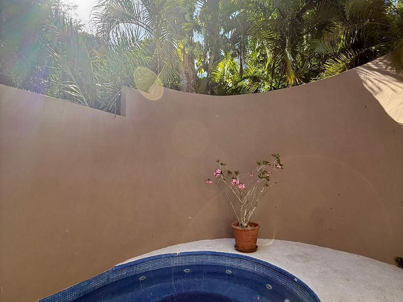 Casa Chocolate Playacar image 24 of 39