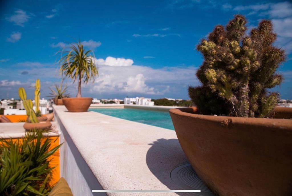 Casa La Galeria Hotel image 5 of 23