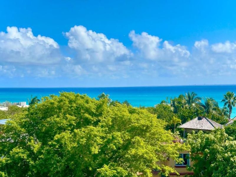 Castillo De Amor Playacar Phase 1 image 12 of 59