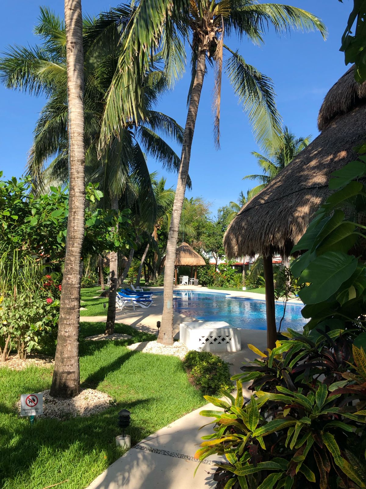 Playacar Cute House image 9 of 22