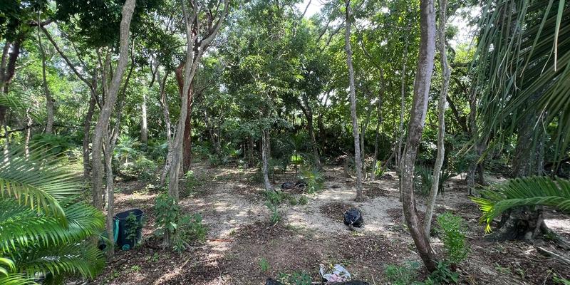 Playacar Huge Land For Sale image 6 of 14