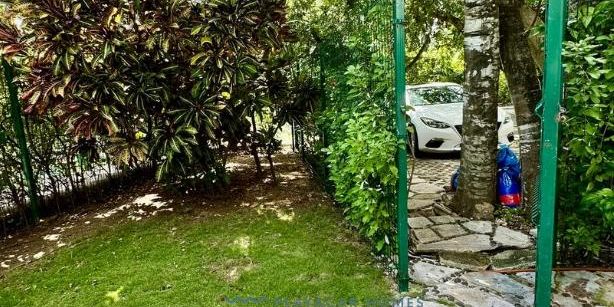 Spacious Villa Playacar image 39 of 43