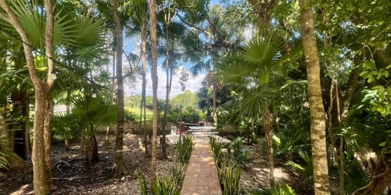 Chac Ha Apartment close to Beach image 20 of 24