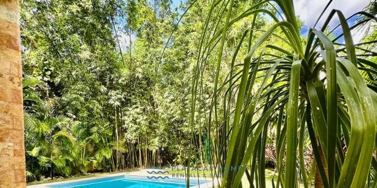 Spacious Villa Playacar image 7 of 43