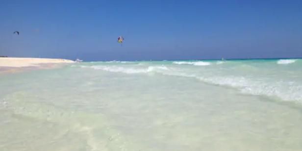 Arbolada Playacar Condo For Rent image 11 of 38