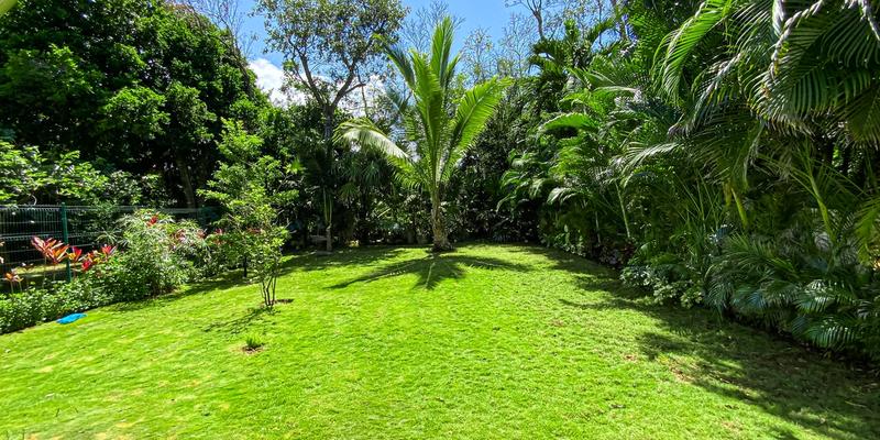 Casa Dragon image 14 of 41