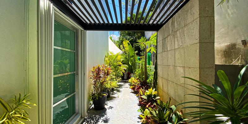 Casa Dragon image 6 of 41