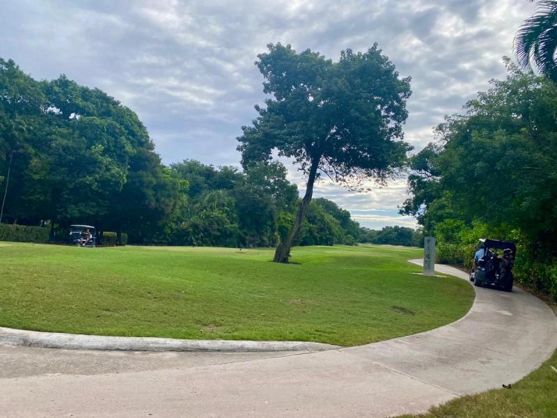 Vaiven Del Viento For Sale image 32 of 39