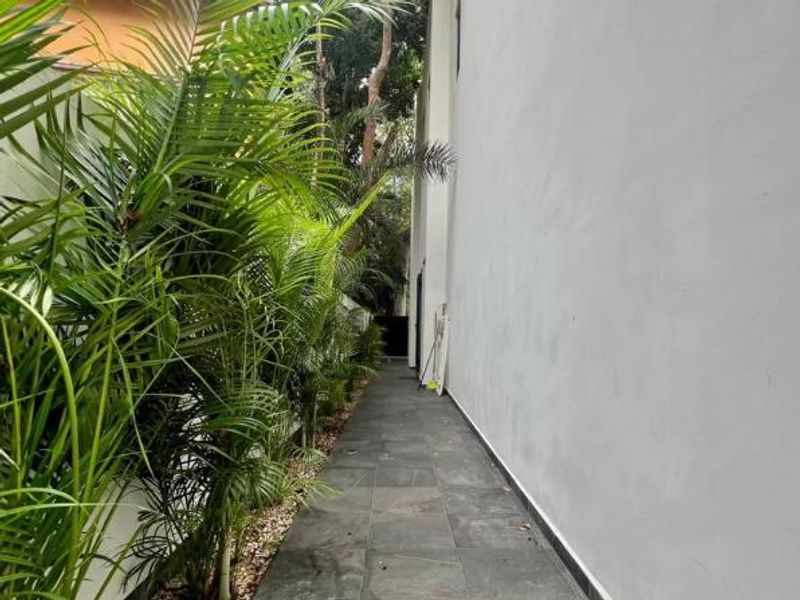 Modern Club Real Jungle Villa image 72 of 87