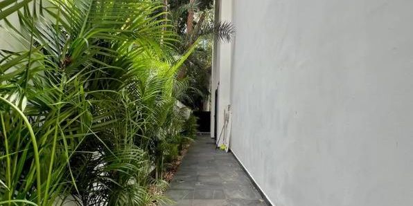 Modern Club Real Jungle Villa image 72 of 87