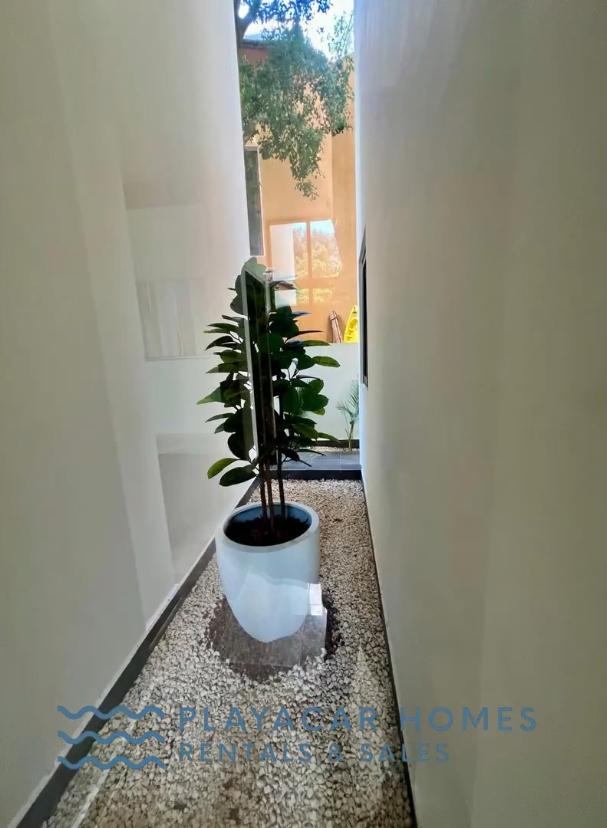 Modern Club Real Jungle Villa image 59 of 87