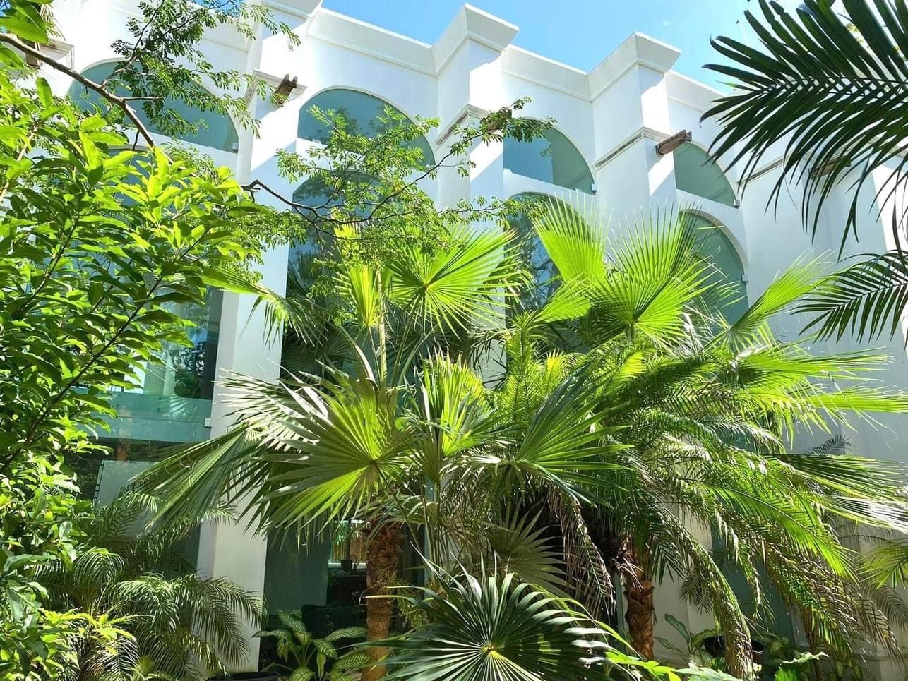 Villa Peacock Playacar For Sale image 27 of 28