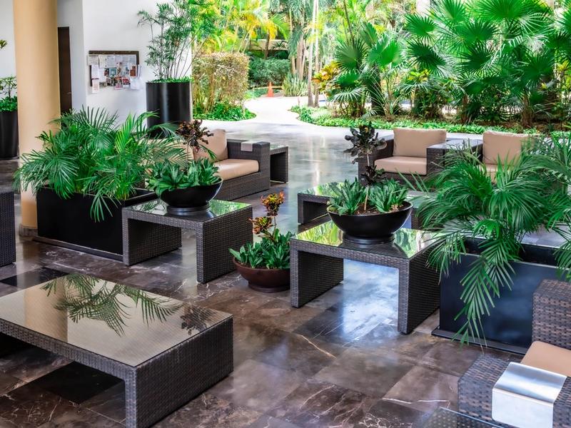 Vaiven Del Viento Playacar Rental image 9 of 35