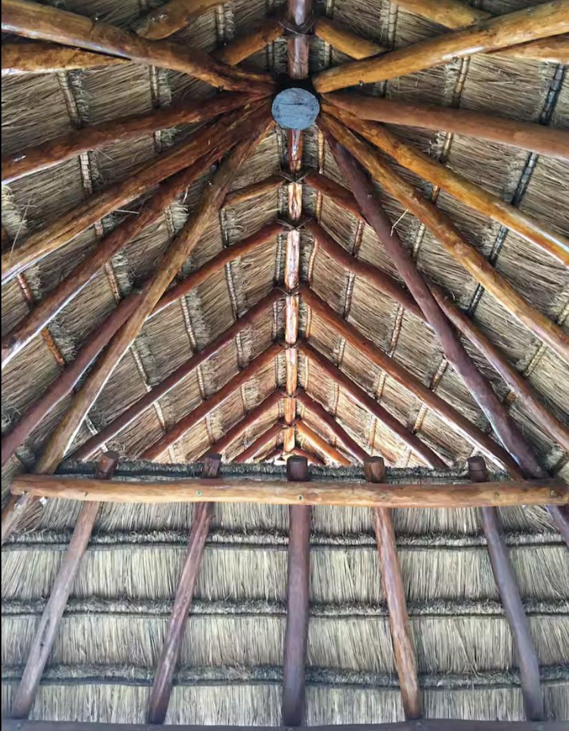 Arbolada Playacar Condo For Rent image 22 of 38