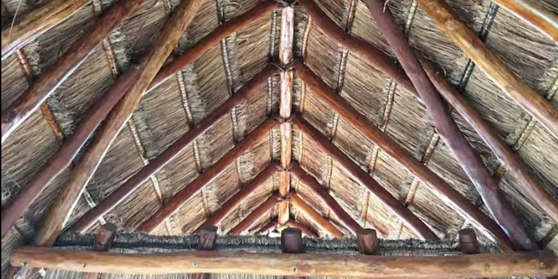 Arbolada Playacar Condo For Rent image 22 of 38