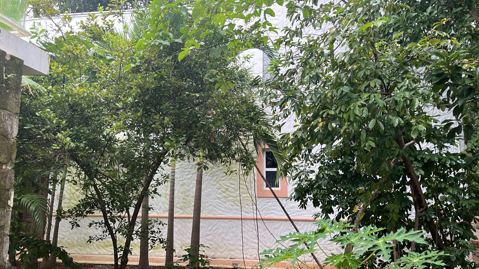 Charming 2-Bedroom Garden House image 12 of 13