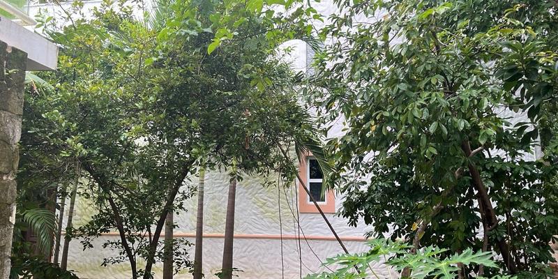 Charming 2-Bedroom Garden House image 12 of 13